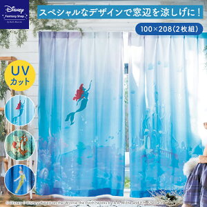  100×208(2g) yDisneyz fBYj[ ꖇĜ悤UVJbgEՔMEՑ{CJ[euAG ܂̃v[ s[^[Epv t@ubN J[e nJ[e n 