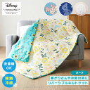 【20%OFF! 6/11(木)1:59迄】ハーフ ディズニー 接触冷感 リバーシブル キルトケット Disney 洗える 肌掛け布団 クール キャラクター くまのプーさん ラプンツェル アナと雪の女王 ミッキー＆ミニー ブランケット 夏用 綿入り ひんやり 冷感 さらっと素材 リバーシブル