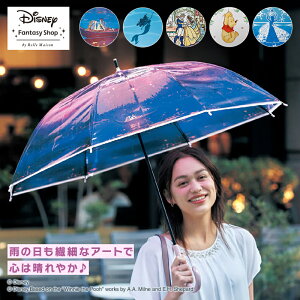 yDisneyz fBYj[ rj[P  AG vcF Ɩb ܂̃v[ AiƐ̏   P JP rj[P  f fBYj[vZX ObY P fB[