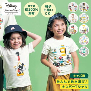 yDisneyz fBYj[ LbYio[TVc u ~bL[}EX ~j[}EX `bvf[ O[tB[ hih_bN ~bL[tY v 100`150  fBYj[TVc TVc L