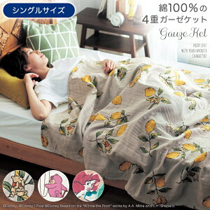 ディズニー タオルケット 毛布 タオルケットの人気商品 通販 価格比較 価格 Com ディズニー タオルケット 毛布 タオルケットの人気商品 通販 価格比較 価格 Com