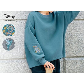 【Disney】 袖刺繍ダンボールニットプルオーバー ◆ ティンカー・ベル ◆ ◇ レディース 女性 トップス カットソープルオーバー カットソー プルオーバー レディーストップス レディーストップス 袖刺繍 刺繍 おしゃれ かわいい