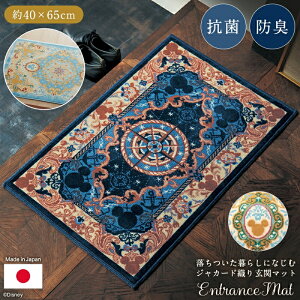  40×65 30×120 yDisneyz fBYj[ 炵ɂȂރWJ[hĎփ}bgm{nu~bL[`[tv ulCr[n v t@ubN փ}bg }bg  