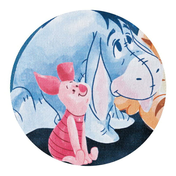 【ポイント5倍!】【Disney】 ディズニー 光るキャンバスアートパネル「くまのプーさん アラジン ピーターパン ラプンツェル」 ◇ アートパネル アートボード アート インテリア ポスター プーさん 大人 グッズ プレゼント ギフト ◇ ベルメゾン/Disney ... ディズニープリンセスアートセットマルチケース
