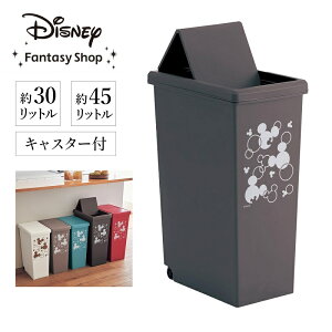  30L yDisneyz fBYj[ XCh_Xg{bNXu~bL[`[tvubh uE u[ x[W AC{[v S~ ݔ  _Xg{bNX S~ ݓ