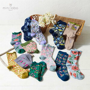 �~�j���{/mini labo �������؂₮��l�̃\�b�N�X2���Z�b�g �� 23�`25cm ���� ���f�B�[�X �\�b�N�X �C�� �� �Z�b�g �x�����]�� ��