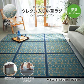 楽天市場 カーペット 収納袋の通販