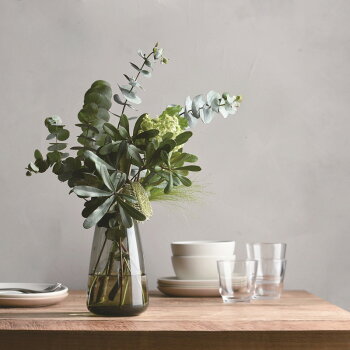 楽天市場 ベルメゾン 水耕栽培が愉しめる花器 ａｑｕａ ｃｕｌｔｕｒｅ ｖａｓｅ グレー ｌ サイズ インテリア 雑貨 おしゃれ グッズ 飾り 置物 置き 物 オーナメント デザイン 小物ｋｉｎｔｏ 家具 インテリアのベルメゾン