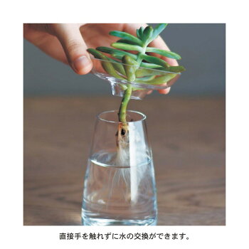 楽天市場 ベルメゾン 水耕栽培が愉しめる花器 ａｑｕａ ｃｕｌｔｕｒｅ ｖａｓｅ グレー ｌ サイズ インテリア 雑貨 おしゃれ グッズ 飾り 置物 置き 物 オーナメント デザイン 小物ｋｉｎｔｏ 家具 インテリアのベルメゾン