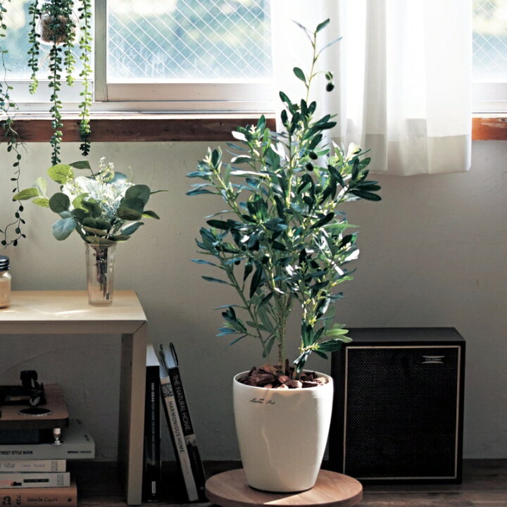 楽天市場 ベルメゾン フェイクグリーン オリーブ M サイズ グリーン フラワー 観葉 植物 触媒 家具 インテリアのベルメゾン