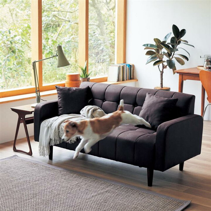 楽天市場 ベルメゾン 引っかき傷に強い合皮ソファー ブラウン ２人掛けワイド 家具 収納 ソファ 椅子 いす ブラウン 2人掛け ワイド ２p ２ ５p ２人 ソファー 合皮 合成皮革 傷に強い ペット 動物 犬 猫 子ども 爪 お手入れ