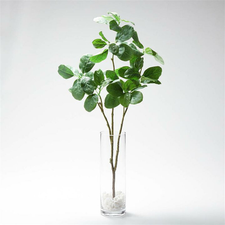 楽天市場 ベルメゾン ガラス花瓶に入ったマグノリアのフェイクグリーン 高さ約６０ｃｍ フェイク グリーン フラワー 観葉 植物 触媒 家具 インテリアのベルメゾン