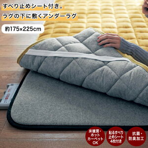 [ᔽ{[^Cv] A_[O | 175cm × 225cm | R hL h ׂ~߃V[gt zbgJ[ybgΉ g[Ή ӂӂ  ׂ~ Op  rO V 