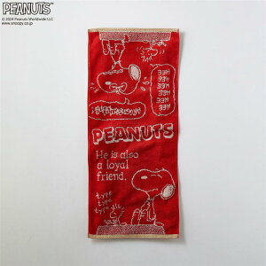 yXقڑSiP10{!~11/27() 01:59zXk[s[ ӂ {[ tFCX ^I ȑf R hL  34×80cm    킢 tFCX ^I oX  W g[j