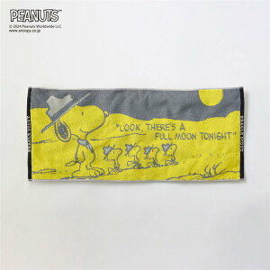 yXقڑSiP10{!~11/27() 01:59zXk[s[ ӂ {[ tFCX ^I ȑf R hL  34×80cm    킢 tFCX ^I oX  W g[j