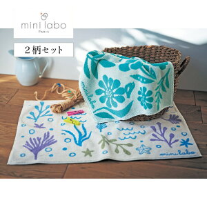 y2Zbgz^If oX}bg  45×70cm   oX C oX[ oX}bg  Rbg  킢 {^jJ OK x] Zbg 2 