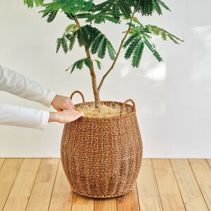 LX^[t 􂦂 ^ Jo[  aő35cm 41.5cm  OK   CeA Vv  uE x]