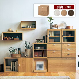キューブボックス 奥行40cm 組合せ ◆ 引出し2杯 タイプ ◆◇ ボックス収納 棚 ユニットボックス ユニット 組み合わせ くみあわせ 連結 新生活 シンプル リビング 組み替え 片づけ 本棚 スタッキング おもちゃ リビング 子供部屋