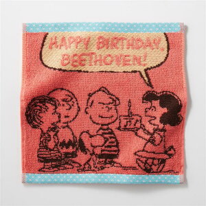 yXقڑSiP10{!~12/11()01:59zXk[s[ ӂӂ R hL ^I nJ`  25cm × 25cm  ȑf g   킢 Oo  LbY