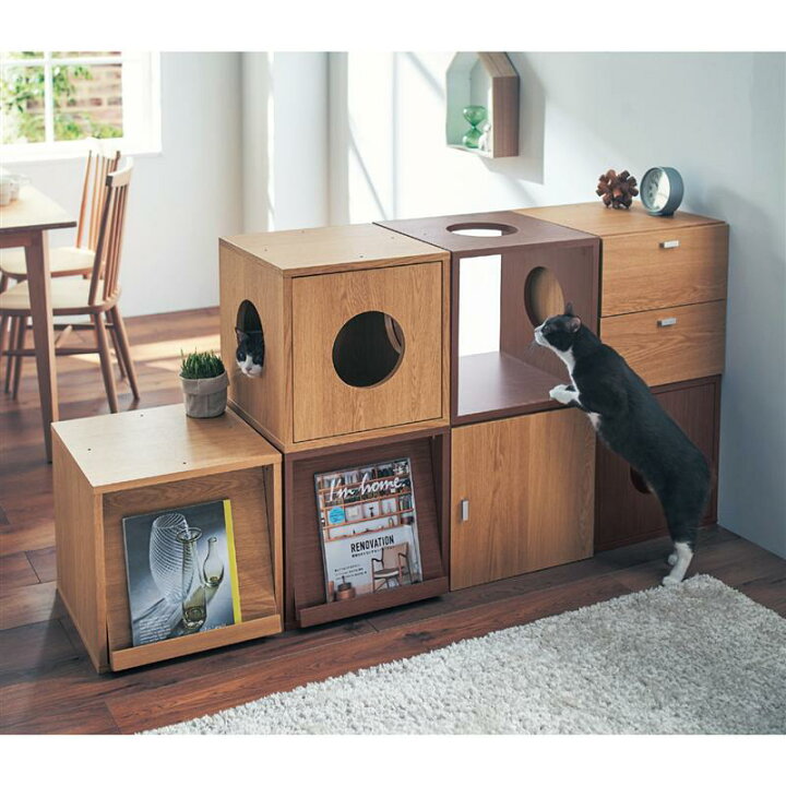 楽天市場】猫用 タイプの キューブボックス（奥行40cm）◇ 扉 