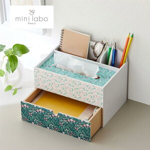 ~j{/mini labo eBbVP[X㏬[{bNX  [ [pi [Ƌ [ ۊ e ЂÂ V 