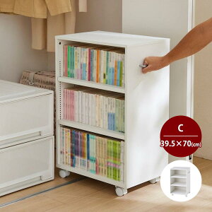 LX^[t ubNS  N[[bg  C^Cv^39.5cm s48.5cm 70cm  [ `FXg N[[bg`FXg `FXg  Vv x]