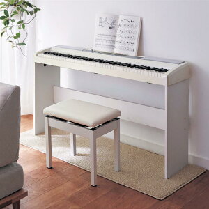 sAm~ h sAm}bg sAm}bg  50×155cm  t@ubN O O}bg }bg J[ybg イ O~ V   􂦂 炦  K s