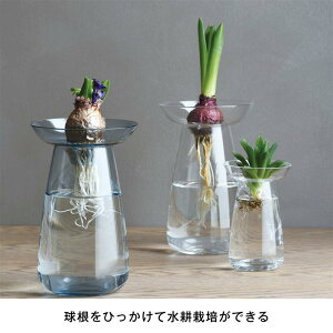 �x�����]�� �L���g�[/KINTO ���k�͔|�������߂�ԕr�uAQUA CULTURE VASE�v �N���A �u �N���A �u���[ �O���[ �v�� L ��
