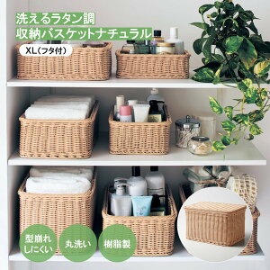 yXقڑSiP10{!~11/27() 01:59z􂦂 ^ [ oXPbg  XLEt^tF 38cm s27cm 23.5cm    JS  [P[X ې Lb`  Xg[W k 