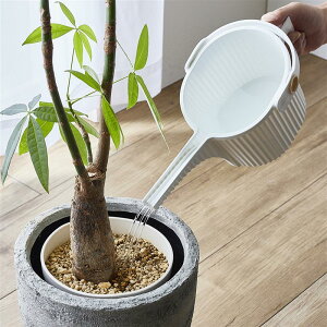 傤 @JI W[  5L  zCg _[NO[ ubN  K[fjO ݂  ƒ؉  A   rO 킢  ϗtA ݂  