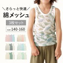 【2点以上10%OFFクーポン対象 ※先着順】【ジータ/GITA】＼3枚セット 売れてます／ さらっと快適 コットン メッシュ …