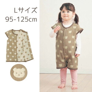 y|Cg3{! 11/11 09:59zx] ȑf 6dK[[ X[p[ Y{dlɂȂ  L 95`125cm  xr[ xr[p Q xr[Q xr[pQ t@ubN xr[t@ubN 