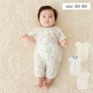 V ƉK Rbg bV c[EFCI[  50`60iTCYj   t  j̎q ̎q xr[ xr[ c[EFChX hX c[EFC 2WAY މ@ SQ x