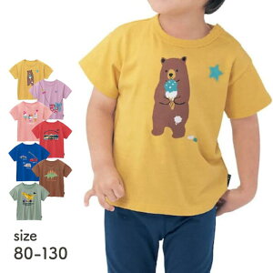 DRR hbvV_[  TVc 80-130  t  j̎q ̎q qǂ ǂ q LbY  q gbvX TVc Jbg\[ ۈ牀 ct ʉ ʊw wZ 