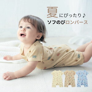 \t̂ tCX  OJ JGp[X   60 70 80   xr[ xr[ Jo[I[ V[gI[ p[X Ȃ   킢 jp j̎q ̎q 