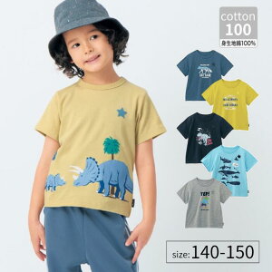 y|Cg5{! 10/28 09:59zWjA j̎q DRR Iׂvg  TVc  140   t  qǂ ǂ q LbY  q {[CY j wZ ʊw gbvX Jbg\[ 