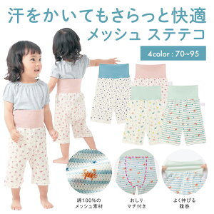 y|Cg3{! 11/27 09:59zyyV1ʁz ƉK  Rbg bV }`t XeeR   70-95    t H xr[ xr[ j̎q ̎q t pW} [EFA 