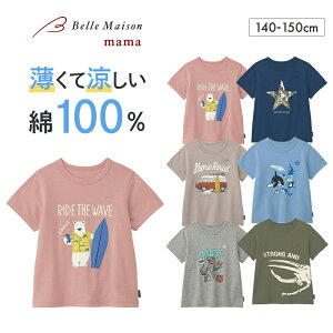 yW[^/GITAzDRRėTVc  140-150   qǂ q LbY KIDS qǂ LbY  gbvX TVc Jbg\[   ĕ j̎q j ʊw wZ w 