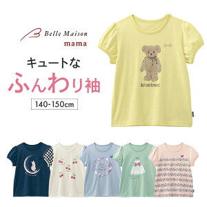 y|Cg5{! 10/28 09:59zWjA DRR vg ptX[u  TVc 140 150   t  ̎q eB[Y qǂ ǂ q LbY  q  K[Y wZ ʊw g