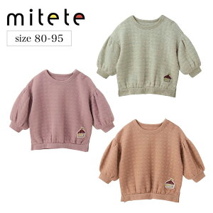 y10OFF12/3 10:00-12/11 9:59z_Ă܂^ xr[ jbgLg pt vI[o[  90 95   H ~ jp xr[ 킽gbvX XEFbg xr[   킢 