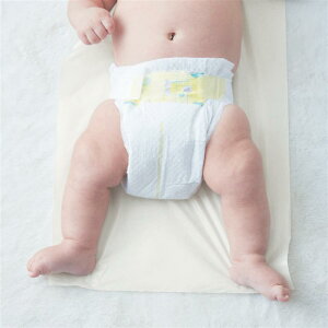 y|Cg3{! 11/11 09:59zނ̏ɕ~ ĝăV[g xr[ ނpi  V ނ ނւV[g ĝ h Oop  x]  WEB