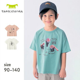 【ジータ/GITA】天王寺動物園 コラボアニマル転写プリント Tシャツ ◆ 90 100 110 120 130 140 ◆ ◇ 子ども 子供 キッズ KIDS 子ども服 キッズ服 服 トップス Tシャツ カットソー ◇