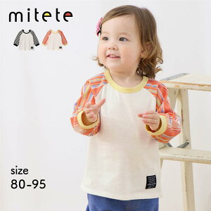 _ۈm̐琶܂܂^ ւ₷ O  TVc  80-95   t H j̎q ̎q xr[ xr[ gbvX T xr[TVc Jbg\[  ۈ牀 ct