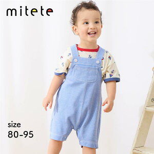 n[t O|Pbgt Tybg  80-95   t  jp j̎q ̎q xr[ xr[ pc {g {gX I[o[I[  ct ۈ牀 ʉ   킢 