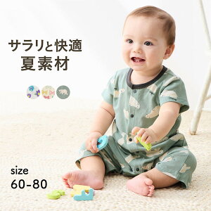 y|Cg3{! 11/27 09:59zxr[ ĉK  OJ JGp[X  60[80   t  j̎q ̎q xr[ Jo[I[ V[gI[ p[X Ȃ rJG^ 