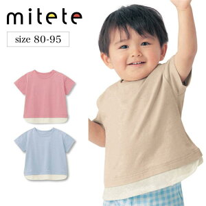 x] xr[ C[h TVc x[W  80-95   xr[ j̎q ̎q gbvX  TVc xr[TVc Jbg\[  jAXJ[  킢 