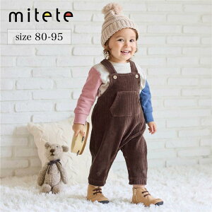 x] xr[ jbg R[fC O Tybg  80cm 90cm 95cm   jp xr[ pc {g I[o[I[ xr[I[o[I[    킢 