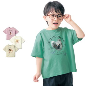 薄くて涼しいアニマル転写プリント半袖Tシャツ ◆ 100-130 ◆ ◇ 子ども 子供 キッズ KIDS 子ども服 キッズ服 服 トップス Tシャツ カットソー 半袖 夏服 夏 かわいい 女の子 男の子 男女兼用 通園 幼稚園 保育園 犬 猫 うさぎ ベルメゾン ◇
