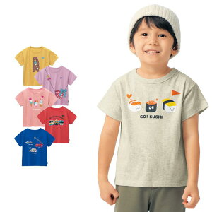 DRR hbvV_[  TVc  80-130   t  j̎q ̎q qǂ ǂ q LbY  q gbvX TVc Jbg\[ ۈ牀 ct ʉ ʊw wZ 