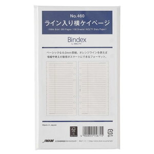 oCuTCY VXe蒠ptB C艡PCy[Wy460z100 6 TCYF171×95mm TCY oCfbNX Bindex by NOLTY JMAM {\}l[WgZ^[y 